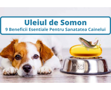 Uleiul de Somon - 9 Beneficii Esentiale Pentru Sanatatea Cainelui