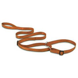 Lesa cu Zgarda Semistrangulanta SHOW TECH 1.50m / 12mm