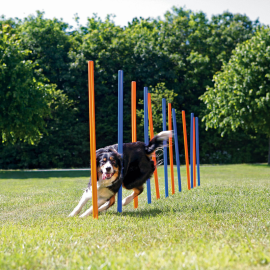 Jaloane AGILITY SLALOM Antrenament Outdoor Caine 12buc