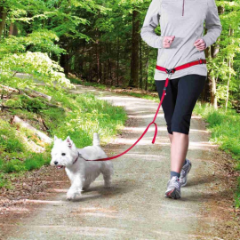 Lesa Hands Free + Centura Caini Talie Mica / Medie