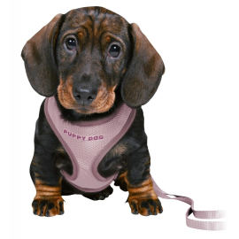 TRIXIE Puppy Dog Set Ham si Lesa Reglabila Pentru Pui de Catel, Mov, 26-34cm