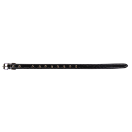 Zgarda din Piele Captusita Pentru Caini BASIC, Tinte Metalice. Diverse Culori, 40cm | Latime 16mm