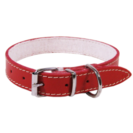 Zgarda din Piele Captusita Pentru Caini BASIC. Diverse Culori, 63cm | Latime 40mm