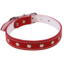 Zgarda din Piele Pentru Caini, BASIC, Captusita, cu Tinte, 53cm | latime 25mm