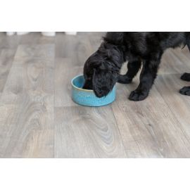 Castron Ceramic Pentru Caini sau Pisici, Albastru, 400ml | Diametru 13cm