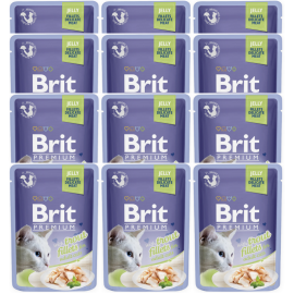 BRIT PREMIUM DELICATE, Pastrav, Set Plicuri Hrana Umeda Pisici (file carne in aspic) 12x85g