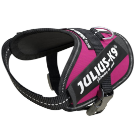 JULIUS K9 IDC POWER Roz Inchis, Marime Baby 2, Ham Caine 2-5kg