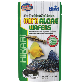 HIKARI Mini Algae Wafers, Hrana Pentru Pesti Pleco si Alte Specii Ierbivore Mici Care se Hranesc pe Fundul Apei, 22g