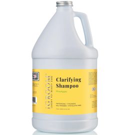 iGROOM Clarifying,  cu Ananas, Sampon Profesional Concentrat 1:16, Curatare Profunda Blana | Piele la Caini si Pisici, 3.8L