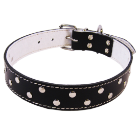 Zgarda din Piele Pentru Caini, BASIC, Captusita, cu Tinte, 63cm | latime 40mm