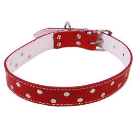 Zgarda din Piele Pentru Caini, BASIC, Captusita, cu Tinte, 74cm | latime 40mm