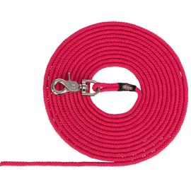 Lesa TRACKING Pentru Caini, Fara Maner, Cordelina Roz, 15m | Diametru 6mm