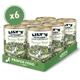 LILY'S KITCHEN Recovery Recipe, cu Pui si Banane, Set Conserve Hrana Umeda Fara Cereale Pentru Caini 6x400g