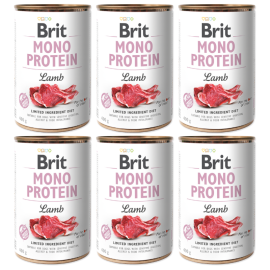 BRIT MONO PROTEIN Miel, Set Conserve Hrana Umeda Monoproteica Caine, Digestie Sensibila | Alergii, (pateu)  6x400g