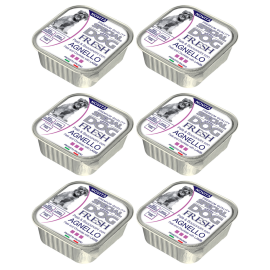 MONGE Special Dog Fresh, cu Miel, Set Conserve Hrana Umeda Pentru Caini (pateu cu bucatele de carne), 6x150g