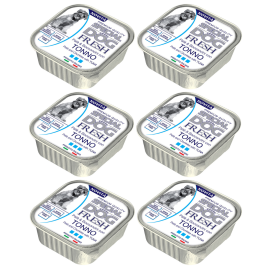 MONGE Special Dog Fresh, cu Ton, Set Conserve Hrana Umeda Pentru Caini (pateu cu bucatele de carne), 6x150g