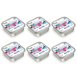 MONGE VETSOLUTION Recovery Feline, Set Conserve Hrana Umeda Pentru Pisicii In Convalescenta sau in Recuperare 6x100g