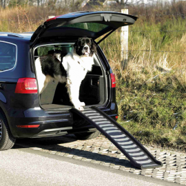 Rampa Auto Pentru Caini Maxim 70kg, Plastic, 2 Elemente, 160x39cm