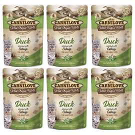 Set 6xPlic Hrana Umeda Pisici CARNILOVE Rata si Catnip 85g