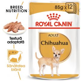 ROYAL CANIN Chihuahua Adult Hrana Umeda caine (Pate) 