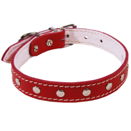 Zgarda din Piele Captusita Pentru Caini BASIC, Tinte Metalice. Diverse Culori, 45cm | Latime 20mm