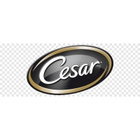 Cesar