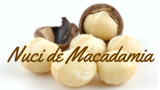 Top 10 Alimente Periculoase Pentru Caine