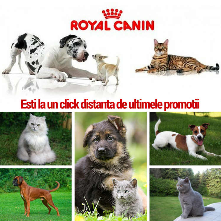 Royal Canin Puncteaza la Capitolul Promotii